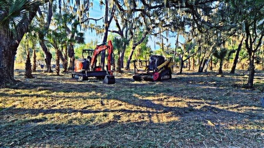A mini excavator and forestry mulcher staged in a cleared oak hammock draped in Spanish moss.