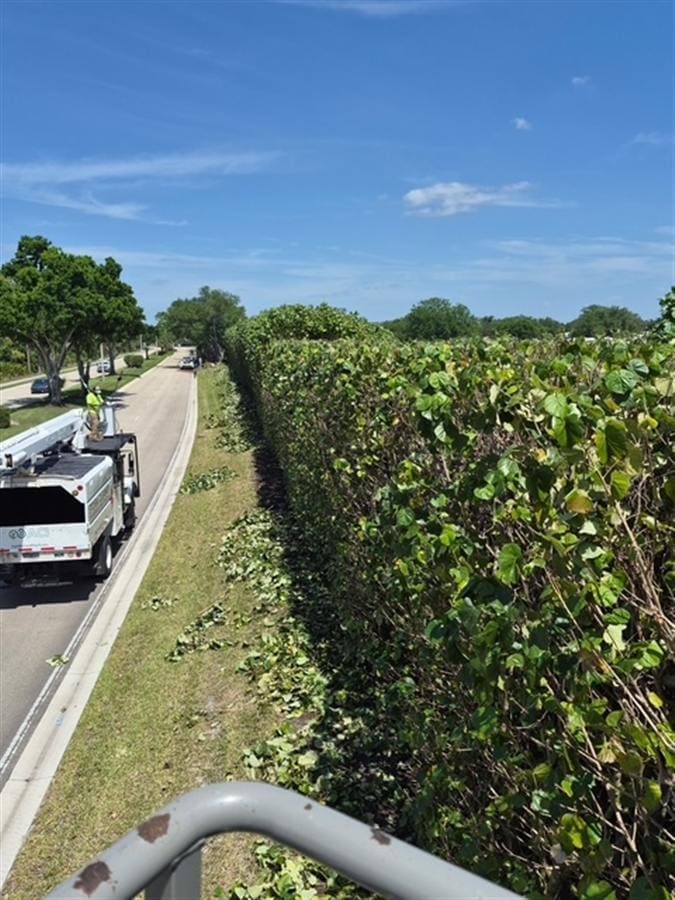 A long, freshly trimmed community hedge along a roadway with a service truck parked alongside.