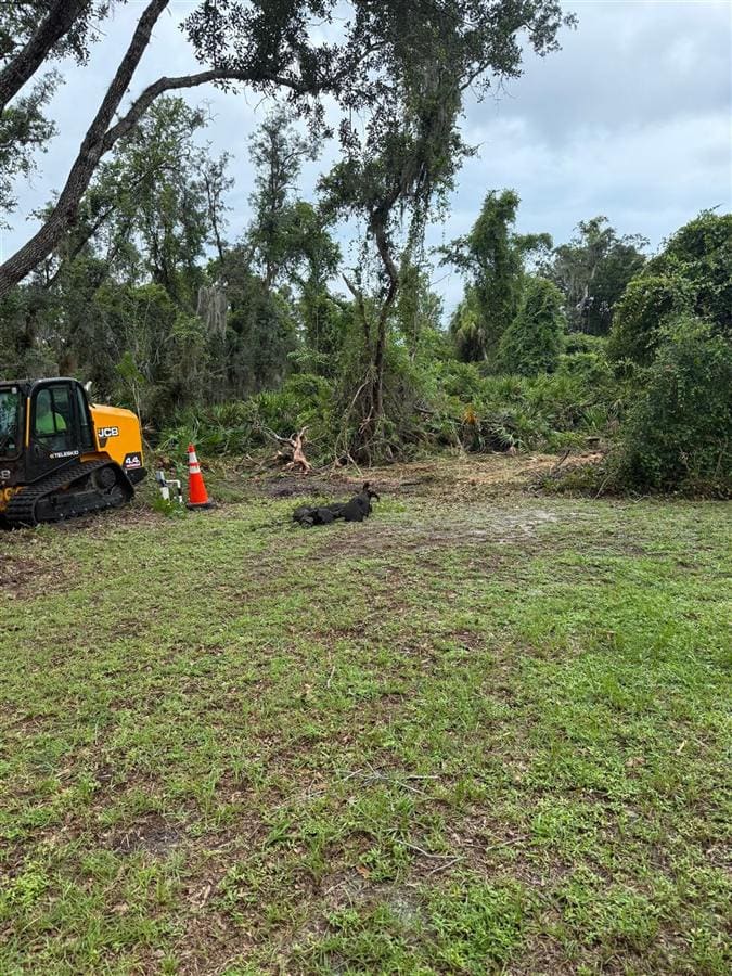 Clear Path's own JCB Teleskid staged on an actual Southwest Florida jobsite.