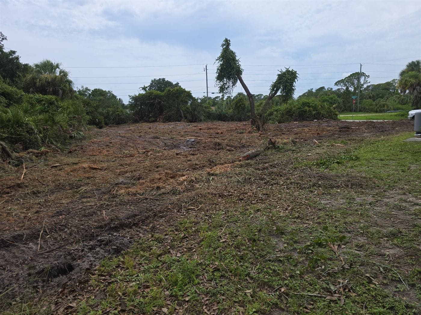 The same Southwest Florida lot cleared to open ground after Clear Path's work.