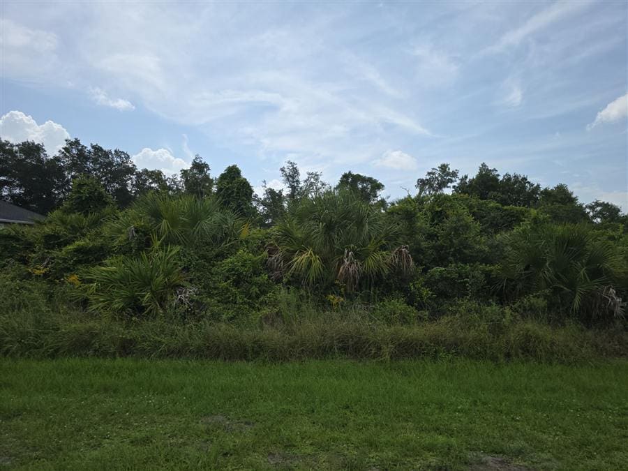 An overgrown Southwest Florida residential lot dense with palmetto and brush before clearing.